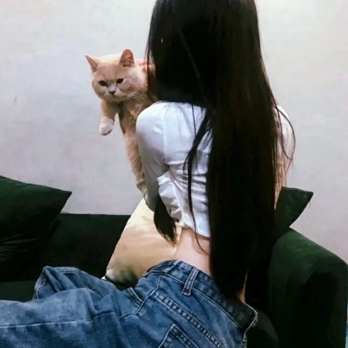 文豪野犬第三季